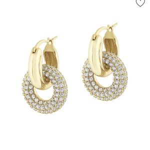 Electric Picks Vamp Earrings